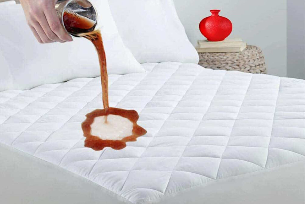 Matress Protector & Pillow Protector